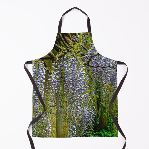 Item preview, Magnificent Wisteria designed and sold by Dalyndigital Photography.