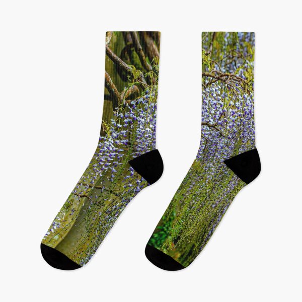 Item preview, Magnificent Wisteria designed and sold by Dalyndigital Photography.