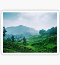 Tea Plantation, Malaysia. Sticker