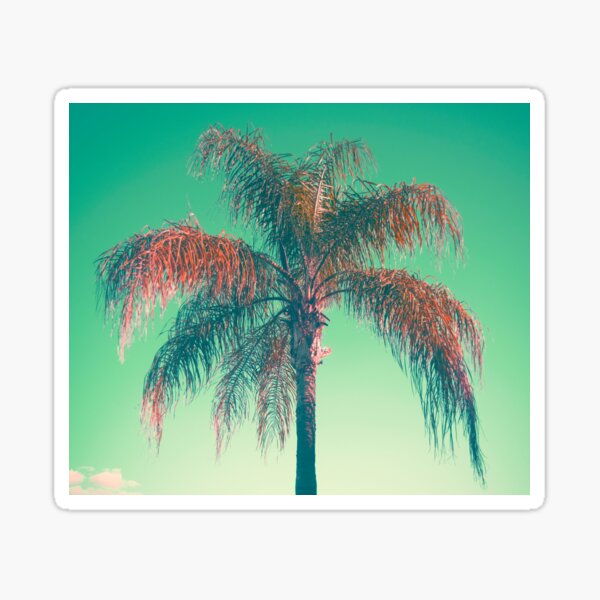 Red palm tree Sticker