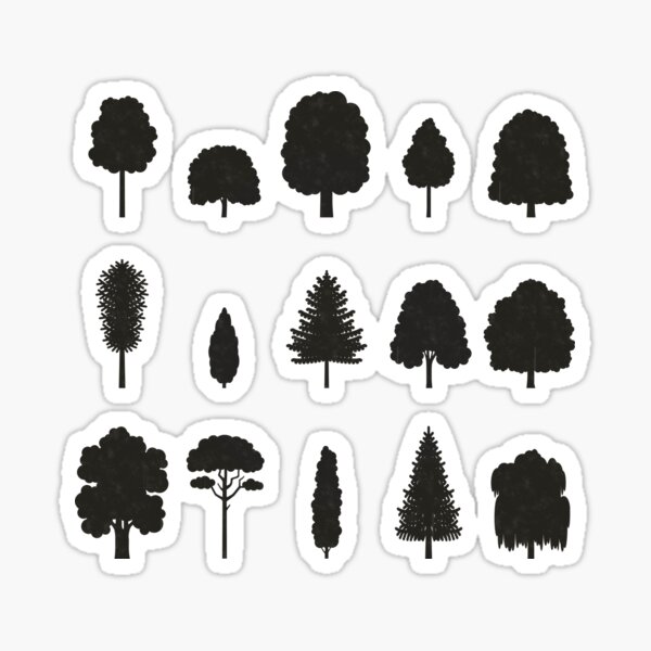 Heimische Baumarten, Baumsilhouetten oder Spezies Schautafel / Infografik (Deutsch) Sticker