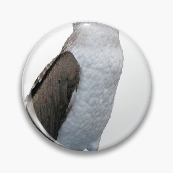 Item preview, Blue-Footed Booby - Galapagos designed and sold by Nina Brandin.