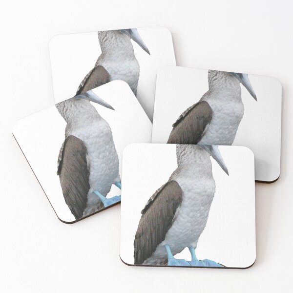 Item preview, Blue-Footed Booby - Galapagos designed and sold by Nina Brandin.