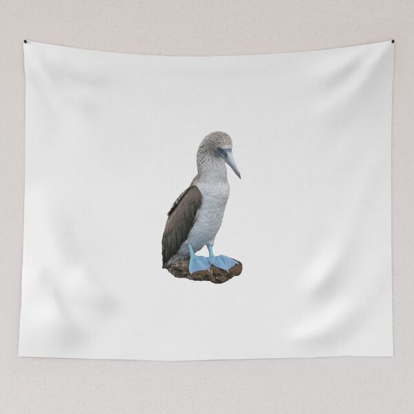 Item preview, Blue-Footed Booby - Galapagos designed and sold by Nina Brandin.