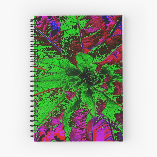 Item preview, Evening primrose, colorful evening primrose designed and sold by bernd49.