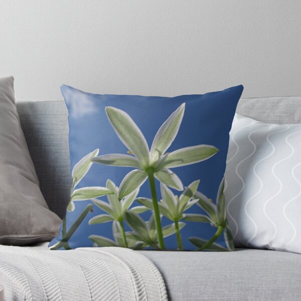 Item preview, Spring has Sprung                                    IMG_5266 designed and sold by KarenDinan.