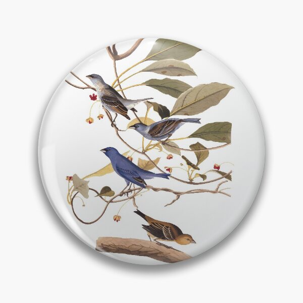Item preview, Audubon's Indigo Birds designed and sold by Candice Davis.