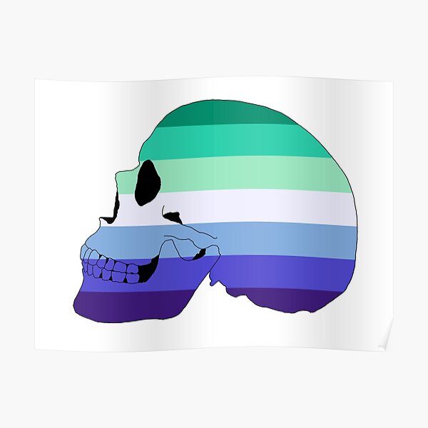 Pride Skull Gay Men Pride Flag Poster For Sale By Alysrose Redbubble 6176