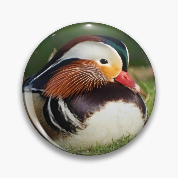 Item preview, A Wonderful Mandarin Duck designed and sold by Karen Thomson.