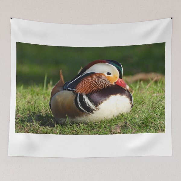 Item preview, A Wonderful Mandarin Duck designed and sold by Karen Thomson.
