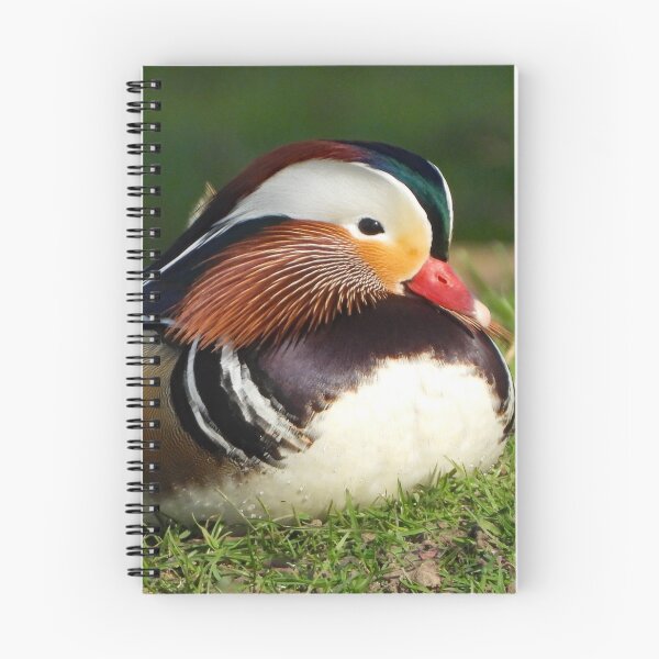 Item preview, A Wonderful Mandarin Duck designed and sold by Karen Thomson.
