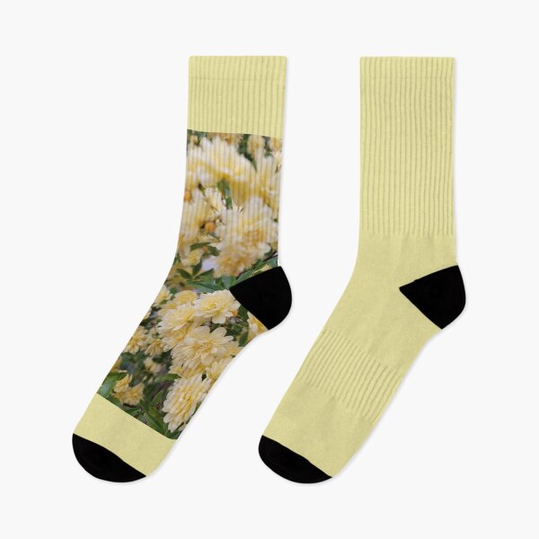 Item preview, Kerria Flowers in the garden of a Korean restaurant,Boseong-gun, Jeollanam-do, Korea. designed and sold by human8891.