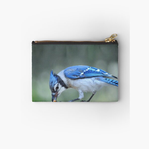Artikelvorschau, Bluejay entworfen und verkauft von Laurie Minor.