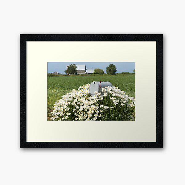 Love Letters Framed Art Print