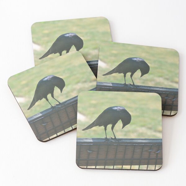 Item preview, Black Bird designed and sold by Tamara McDonnell.