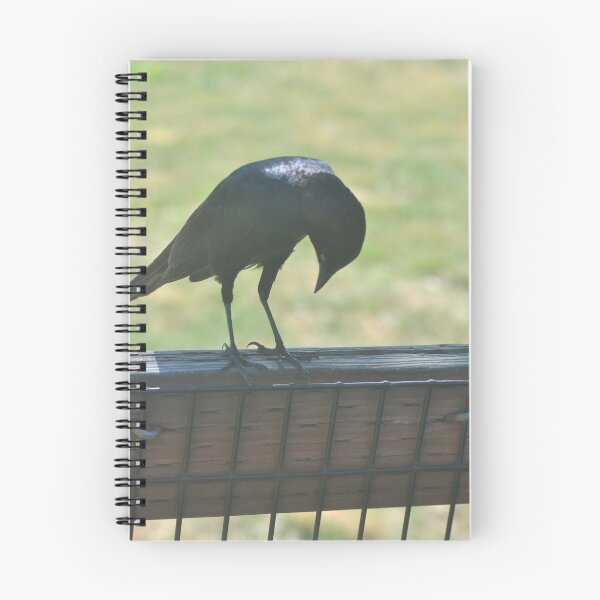 Item preview, Black Bird designed and sold by Tamara McDonnell.