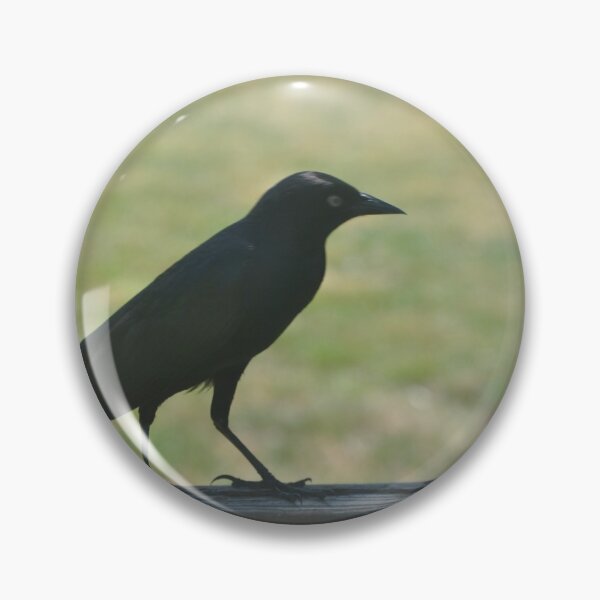 Item preview, Black Bird  designed and sold by Tamara McDonnell.