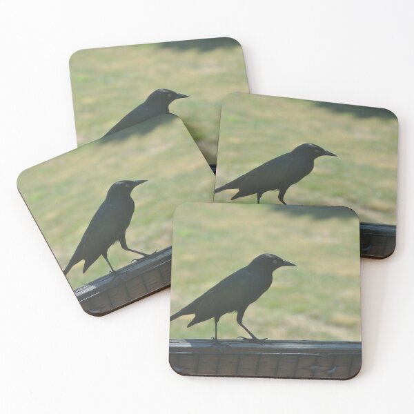 Item preview, Black Bird  designed and sold by Tamara McDonnell.