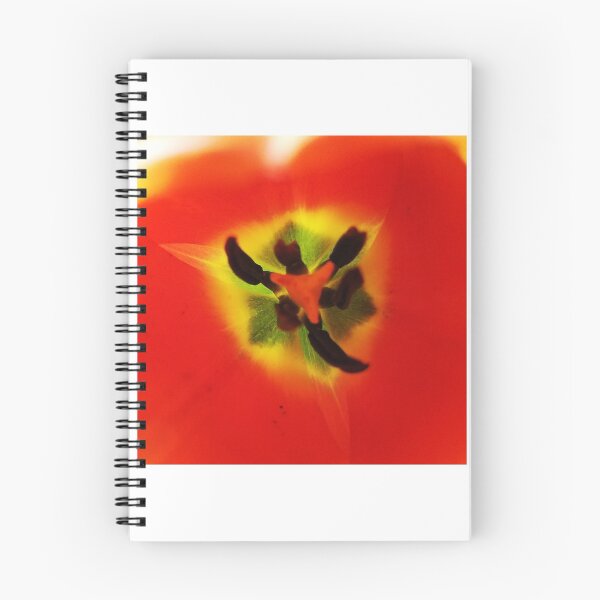 Item preview, A Courtin' designed and sold by AnnaCecile.