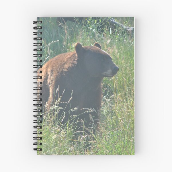 Item preview, Bear in Grass designed and sold by Tamara McDonnell.