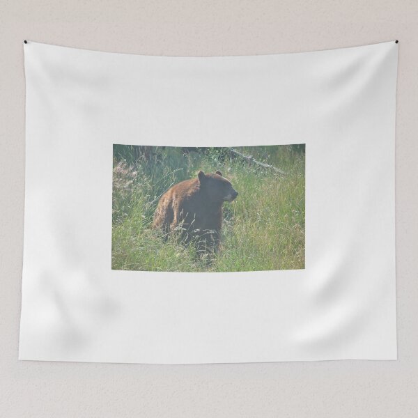 Item preview, Bear in Grass designed and sold by Tamara McDonnell.