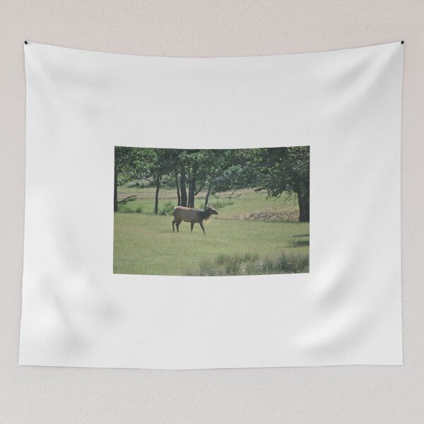 Item preview, Roosevelt Elk designed and sold by Tamara McDonnell.