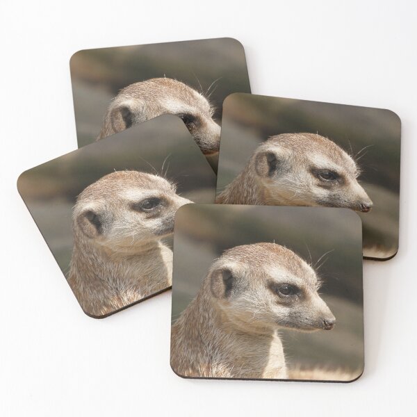 Item preview, Meerkat 048 designed and sold by JAMFoto.