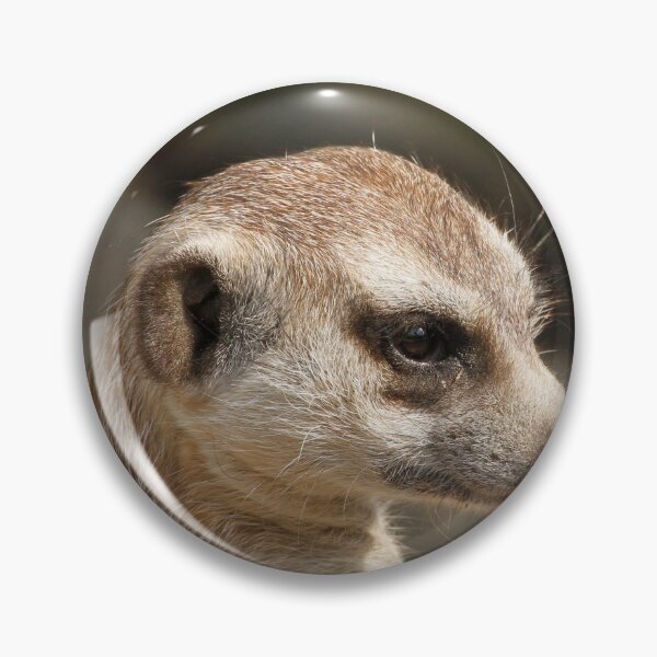 Item preview, Meerkat 048 designed and sold by JAMFoto.