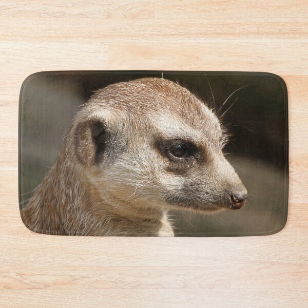 Item preview, Meerkat 048 designed and sold by JAMFoto.