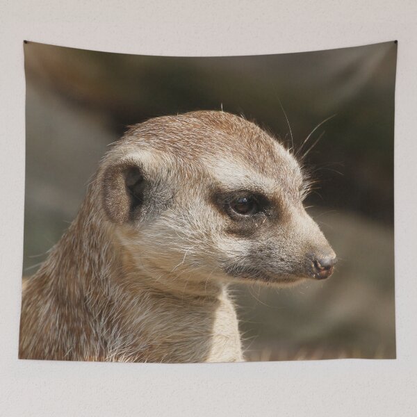 Item preview, Meerkat 048 designed and sold by JAMFoto.