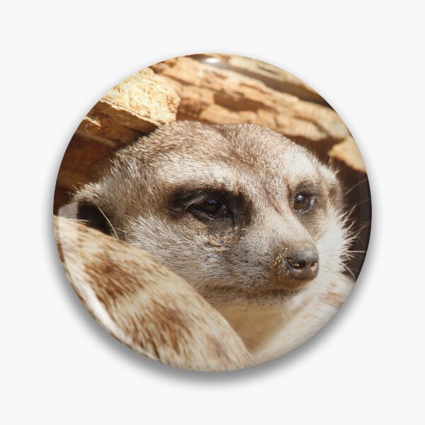 Item preview, Meerkat 049 designed and sold by JAMFoto.