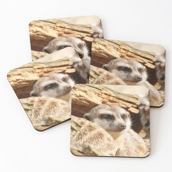 Item preview, Meerkat 049 designed and sold by JAMFoto.