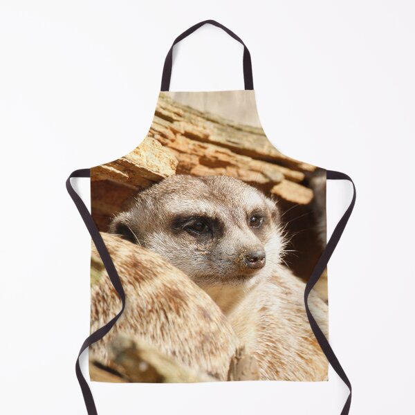 Item preview, Meerkat 049 designed and sold by JAMFoto.