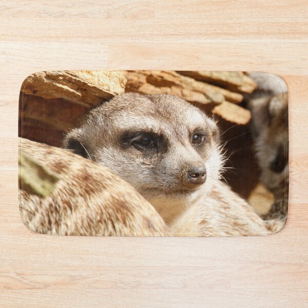Item preview, Meerkat 049 designed and sold by JAMFoto.