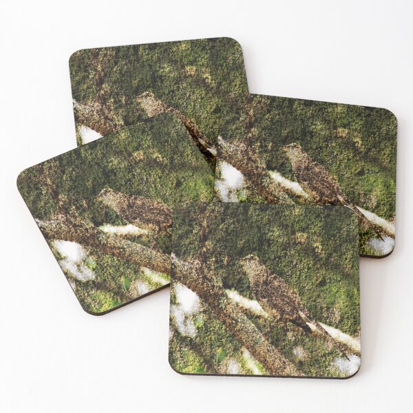 Item preview, Camouflaged mockingbird  designed and sold by PipsqueakEarth.