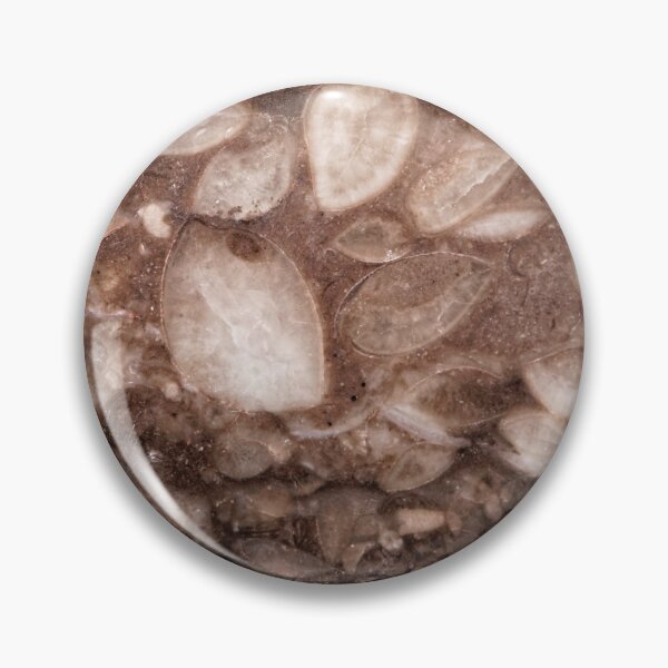 Item preview, Surface of a brachiopod limestone of Silurian age designed and sold by Zosimus.