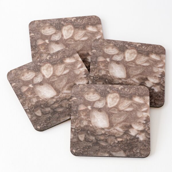 Item preview, Surface of a brachiopod limestone of Silurian age designed and sold by Zosimus.