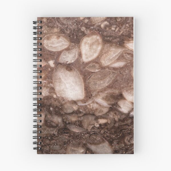Item preview, Surface of a brachiopod limestone of Silurian age designed and sold by Zosimus.