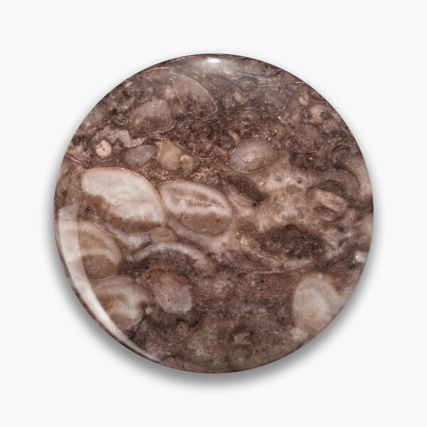 Item preview, Surface of a brachiopod limestone of Silurian age designed and sold by Zosimus.