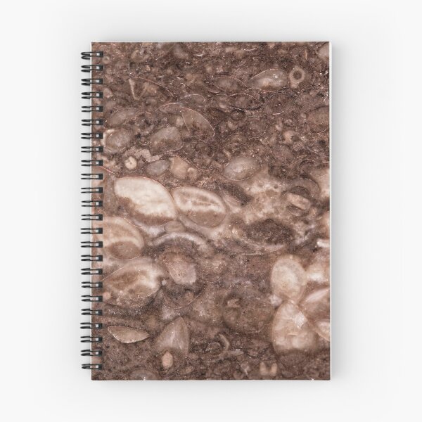 Item preview, Surface of a brachiopod limestone of Silurian age designed and sold by Zosimus.