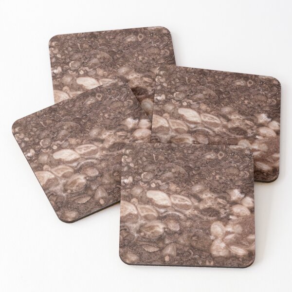 Item preview, Surface of a brachiopod limestone of Silurian age designed and sold by Zosimus.