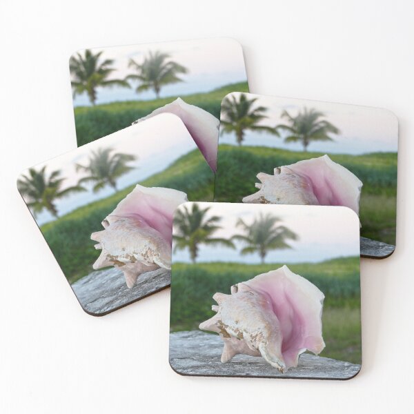 Item preview, Queen Conch Shell on a Wall, The Bahamas designed and sold by Catherine Sherman.