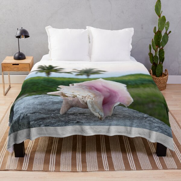 Item preview, Queen Conch Shell on a Wall, The Bahamas designed and sold by Catherine Sherman.