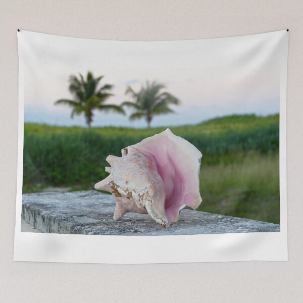 Item preview, Queen Conch Shell on a Wall, The Bahamas designed and sold by Catherine Sherman.