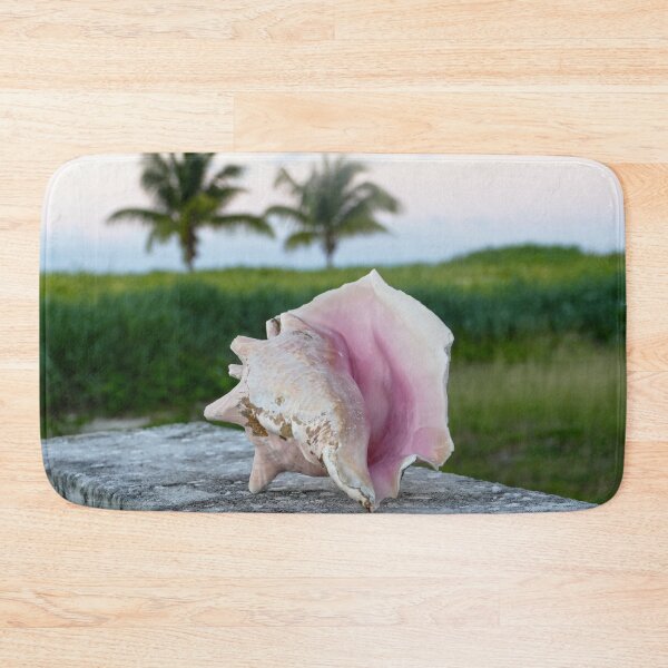 Item preview, Queen Conch Shell on a Wall, The Bahamas designed and sold by Catherine Sherman.