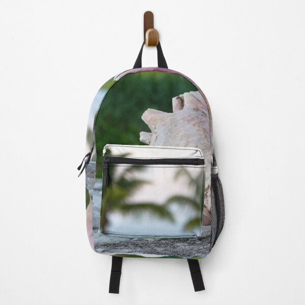 Item preview, Queen Conch Shell on a Wall, The Bahamas designed and sold by Catherine Sherman.
