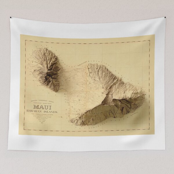 Item preview, 1885 Maui Relief Map 3D digitally-rendered designed and sold by ThinkAboutMaps.