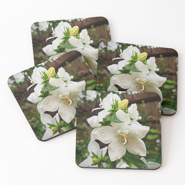 Item preview, White flower  designed and sold by ClaudiaAllx.