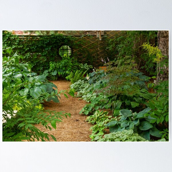 Garden Path Poster