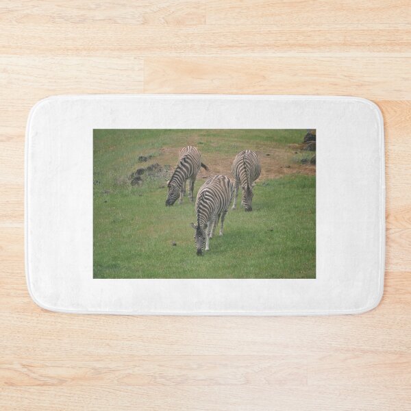 Item preview, Zebra Trio designed and sold by Tamara McDonnell.
